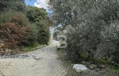 İzmir Bayındır Yola Cepheli Fırsat İmarlı Satılık Arsa