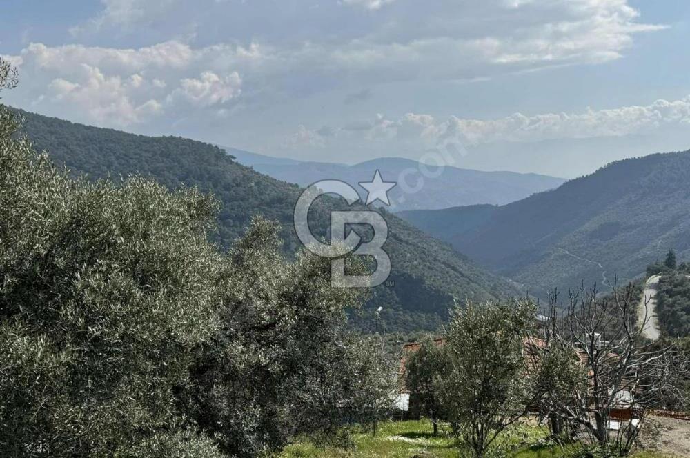 İzmir Bayındır Yola Cepheli Fırsat İmarlı Satılık Arsa