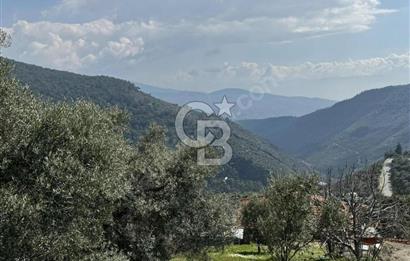 İzmir Bayındır Yola Cepheli Fırsat İmarlı Satılık Arsa