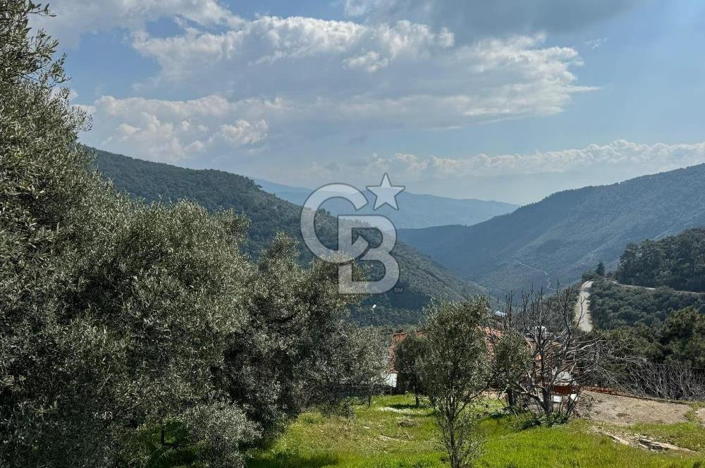 İzmir Bayındır Yola Cepheli Fırsat İmarlı Satılık Arsa