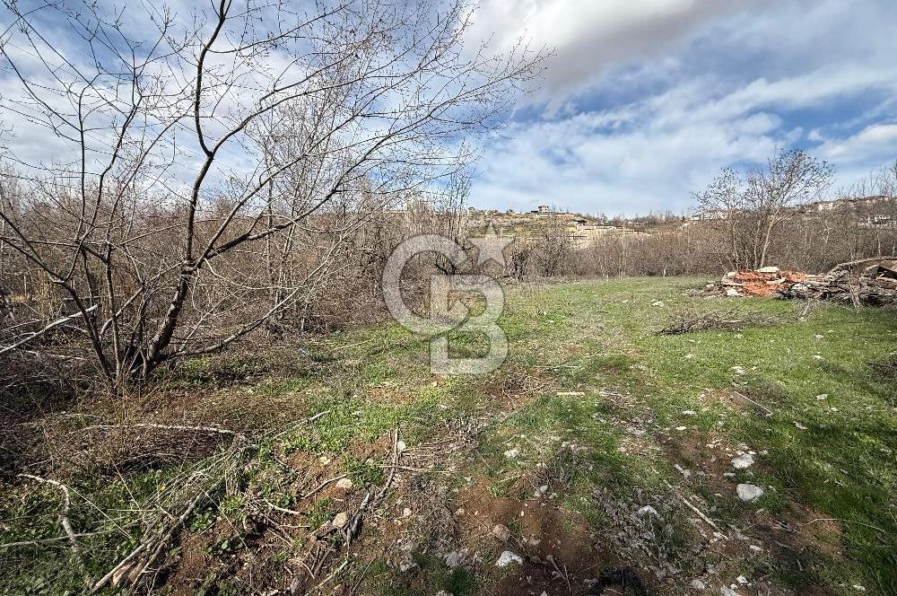 COLDWELL BANKER SAFİR'den MOLLAKASIM da 3448 m² SATILIK BAHÇE