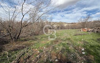 COLDWELL BANKER SAFİR'den MOLLAKASIM da 3448 m² SATILIK BAHÇE