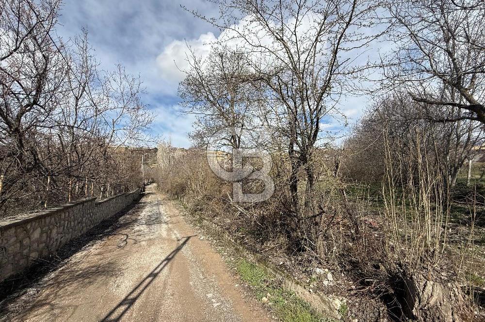 COLDWELL BANKER SAFİR'den MOLLAKASIM da 3448 m² SATILIK BAHÇE