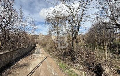 COLDWELL BANKER SAFİR'den MOLLAKASIM da 3448 m² SATILIK BAHÇE