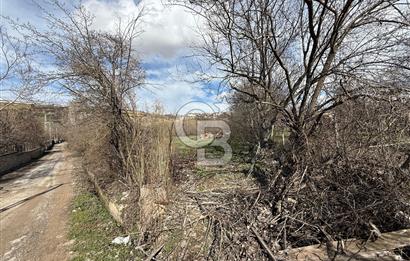 COLDWELL BANKER SAFİR'den MOLLAKASIM da 3448 m² SATILIK BAHÇE