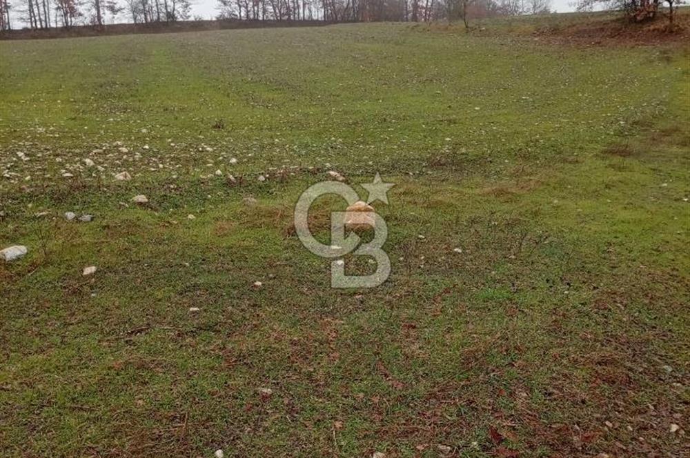 CB CLASS KELES ÇOK GÜZEL MANZARALI TARLA 