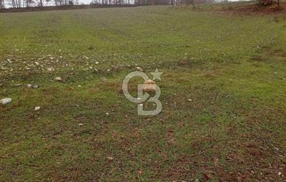 CB CLASS KELES ÇOK GÜZEL MANZARALI TARLA 