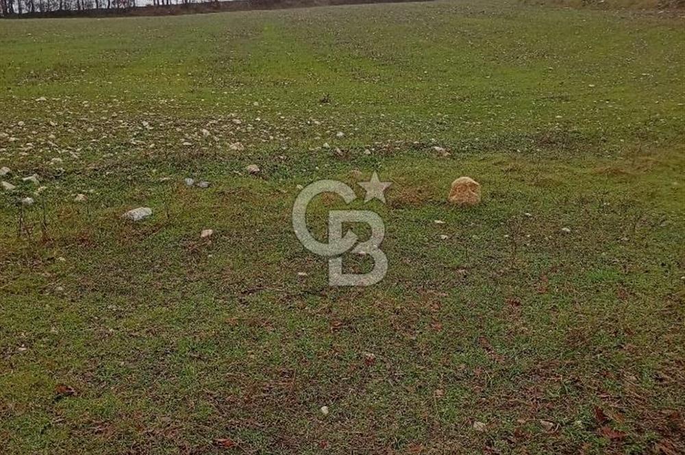CB CLASS KELES ÇOK GÜZEL MANZARALI TARLA 