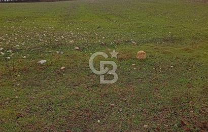 CB CLASS KELES ÇOK GÜZEL MANZARALI TARLA 