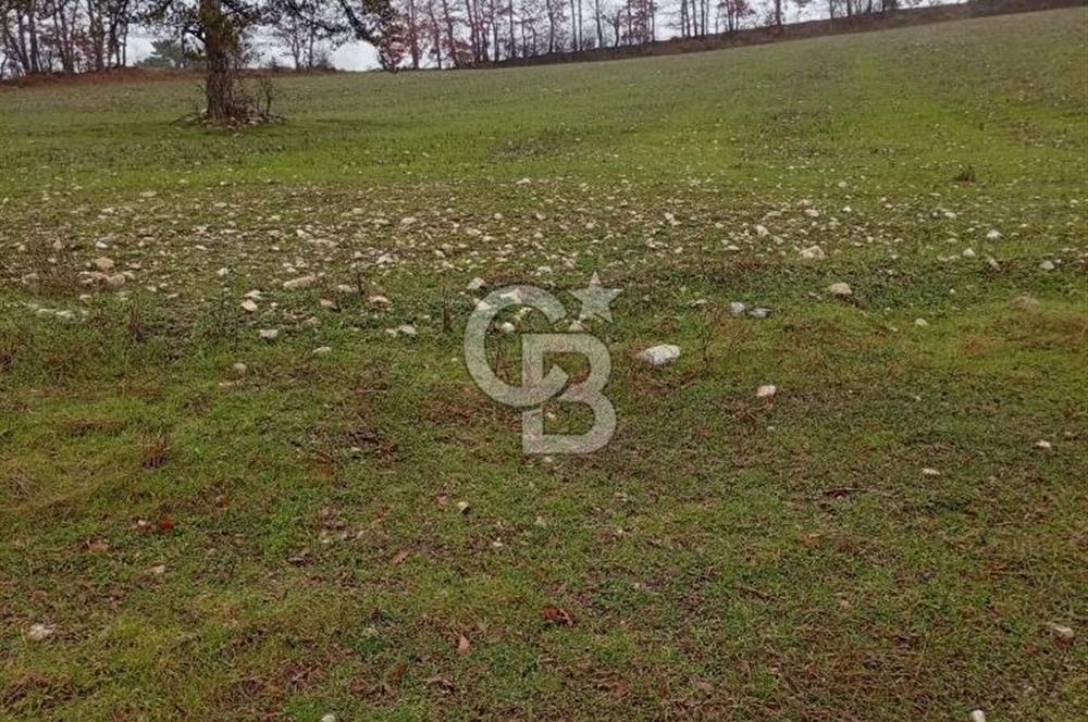 CB CLASS KELES ÇOK GÜZEL MANZARALI TARLA 