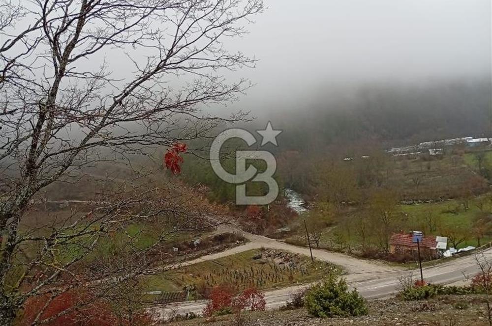 CB CLASS KELES ÇOK GÜZEL MANZARALI TARLA 