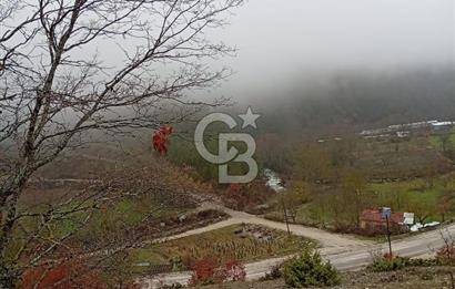 CB CLASS KELES ÇOK GÜZEL MANZARALI TARLA 