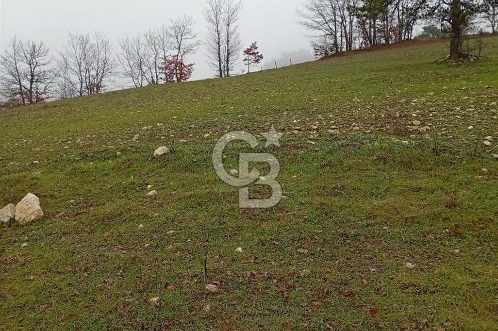 CB CLASS KELES ÇOK GÜZEL MANZARALI TARLA 