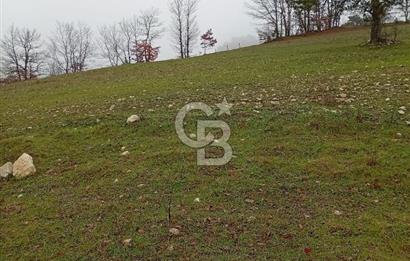 CB CLASS KELES ÇOK GÜZEL MANZARALI TARLA 