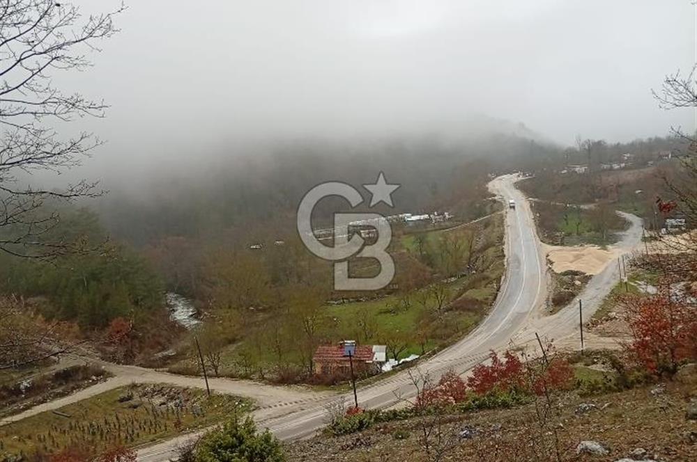 CB CLASS KELES ÇOK GÜZEL MANZARALI TARLA 