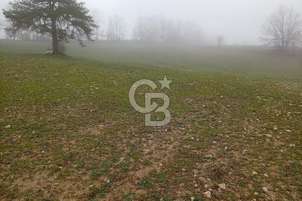 CB CLASS KELES ÇOK GÜZEL MANZARALI TARLA 