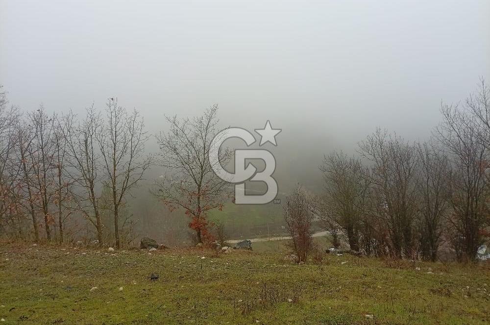 CB CLASS KELES ÇOK GÜZEL MANZARALI TARLA 