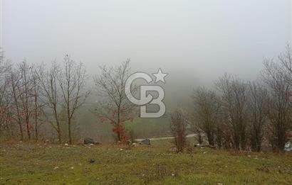 CB CLASS KELES ÇOK GÜZEL MANZARALI TARLA 