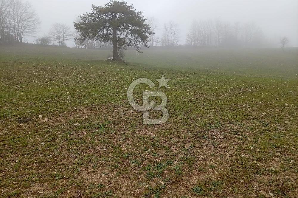 CB CLASS KELES ÇOK GÜZEL MANZARALI TARLA 