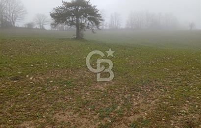 CB CLASS KELES ÇOK GÜZEL MANZARALI TARLA 