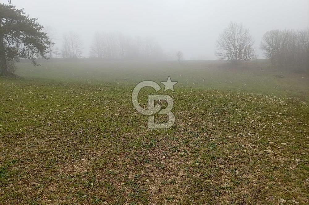 CB CLASS KELES ÇOK GÜZEL MANZARALI TARLA 