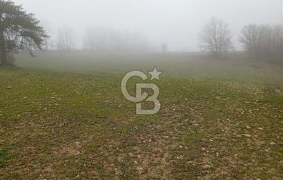 CB CLASS KELES ÇOK GÜZEL MANZARALI TARLA 