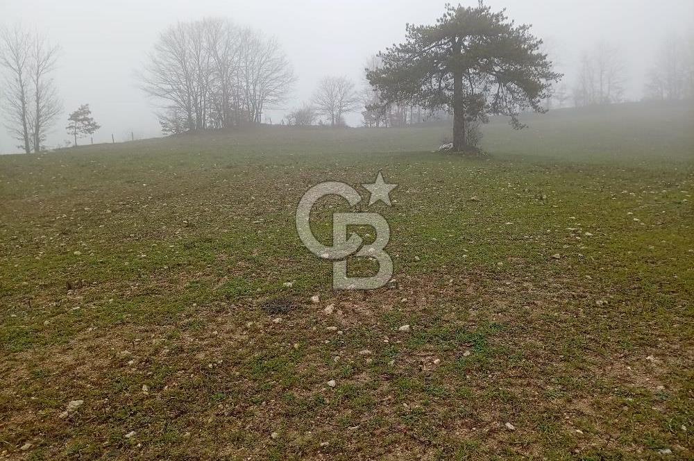 CB CLASS KELES ÇOK GÜZEL MANZARALI TARLA 