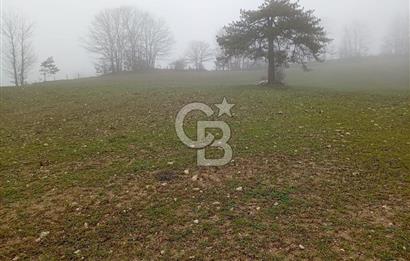 CB CLASS KELES ÇOK GÜZEL MANZARALI TARLA 