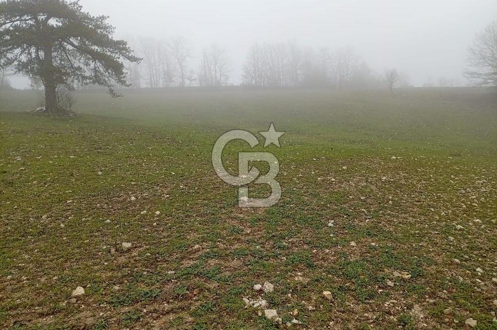 CB CLASS KELES ÇOK GÜZEL MANZARALI TARLA 