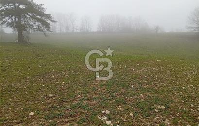 CB CLASS KELES ÇOK GÜZEL MANZARALI TARLA 