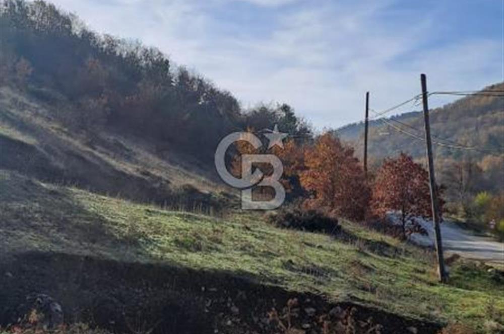 CB CLASS KELES ÇOK GÜZEL MANZARALI TARLA 