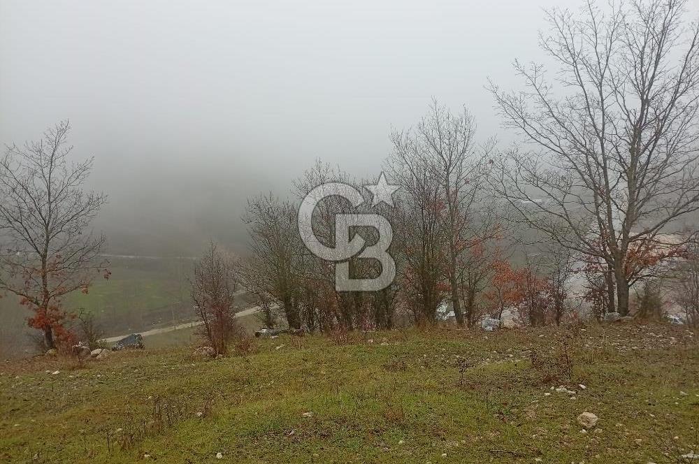 CB CLASS KELES ÇOK GÜZEL MANZARALI TARLA 