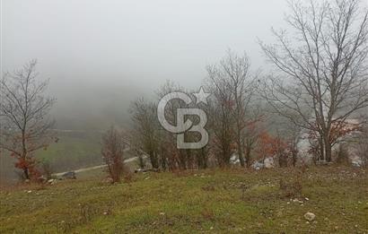 CB CLASS KELES ÇOK GÜZEL MANZARALI TARLA 