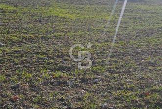 CB CLASS KELES ÇOK GÜZEL MANZARALI TARLA  - 3 - 342466