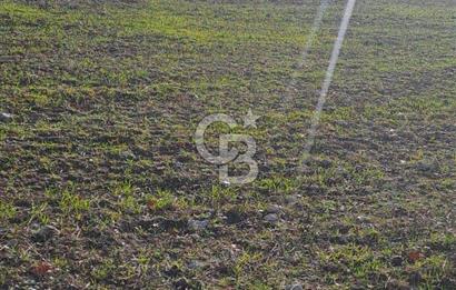 CB CLASS KELES ÇOK GÜZEL MANZARALI TARLA 