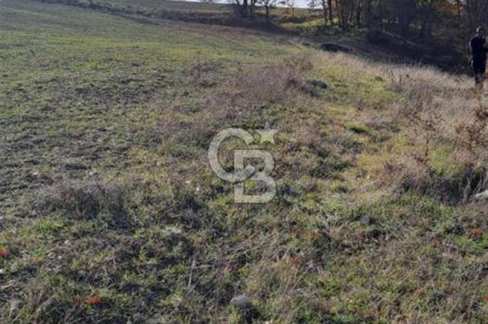 CB CLASS KELES ÇOK GÜZEL MANZARALI TARLA 