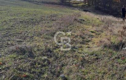 CB CLASS KELES ÇOK GÜZEL MANZARALI TARLA 