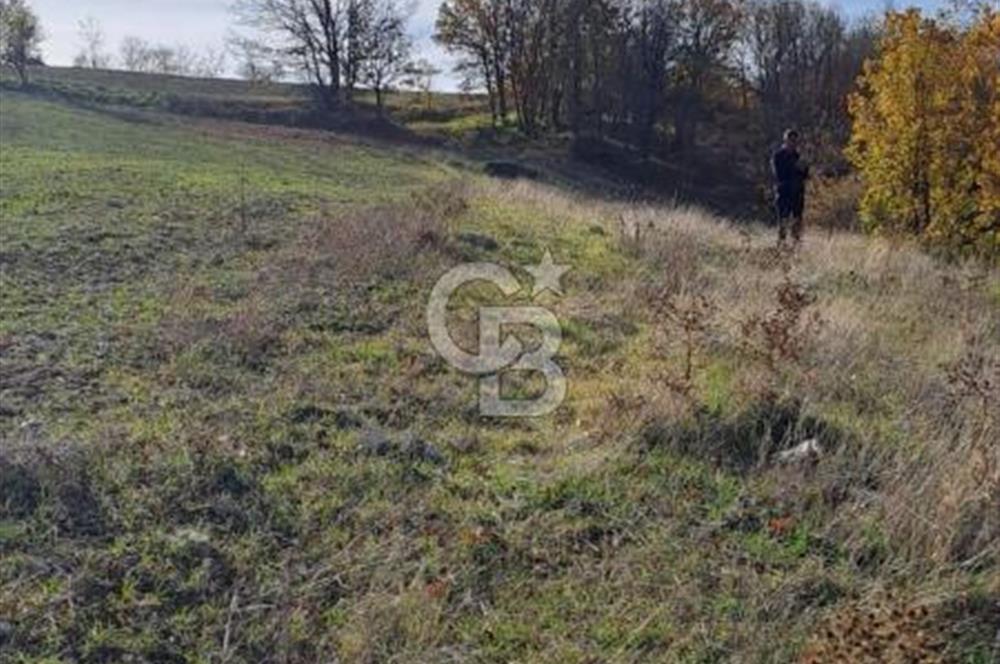 CB CLASS KELES ÇOK GÜZEL MANZARALI TARLA 