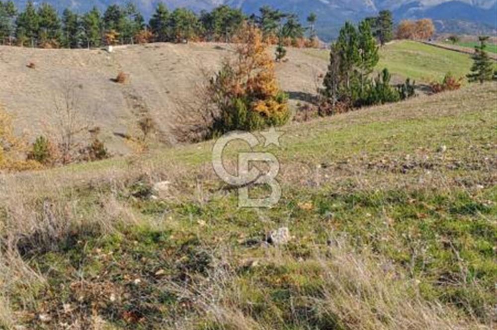 CB CLASS KELES ÇOK GÜZEL MANZARALI TARLA 