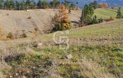 CB CLASS KELES ÇOK GÜZEL MANZARALI TARLA 