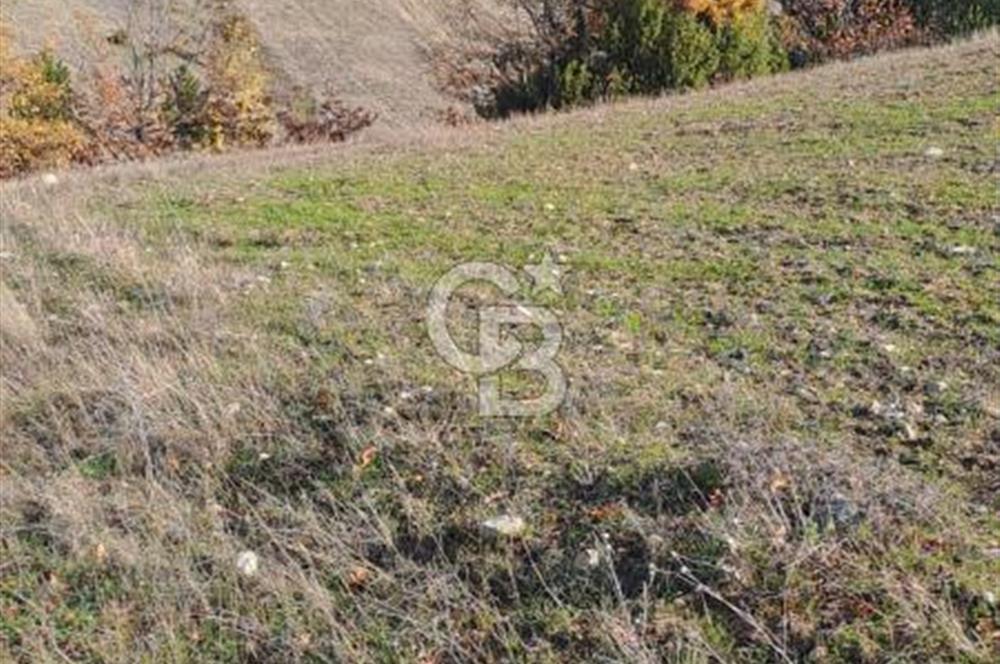 CB CLASS KELES ÇOK GÜZEL MANZARALI TARLA 