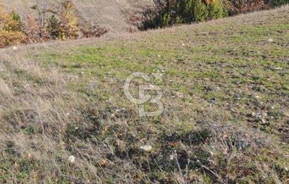 CB CLASS KELES ÇOK GÜZEL MANZARALI TARLA 