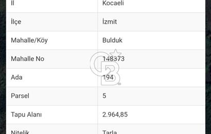 İZMİT BULDUK'TA DOĞA İÇİNDE TARLA