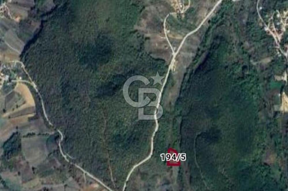 İZMİT BULDUK'TA DOĞA İÇİNDE TARLA