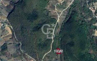 İZMİT BULDUK'TA DOĞA İÇİNDE TARLA