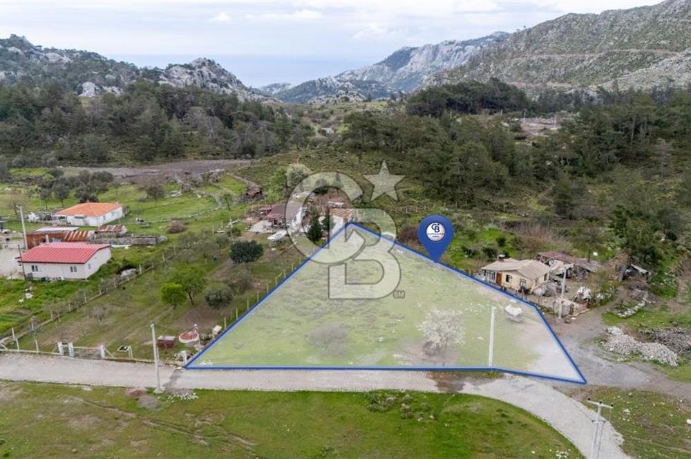 OSMANİYEDE YOLA CEPHELİ YATIRIMA UYGUN TARLA