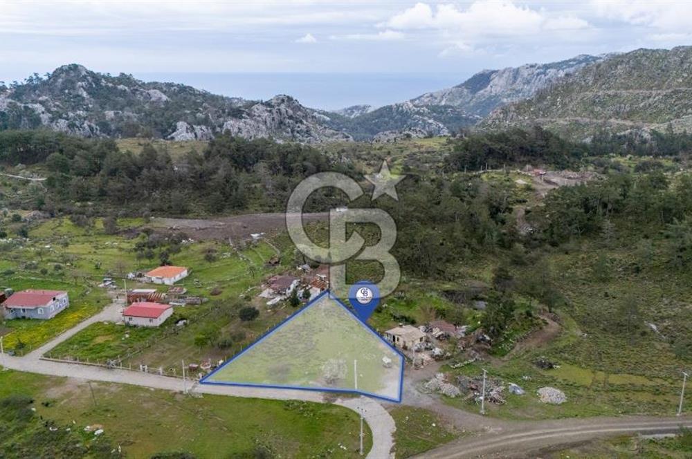 OSMANİYEDE YOLA CEPHELİ YATIRIMA UYGUN TARLA