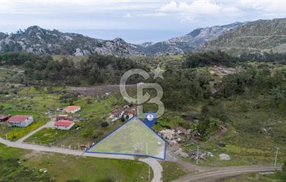 OSMANİYEDE YOLA CEPHELİ YATIRIMA UYGUN TARLA