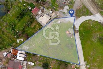 OSMANİYEDE YOLA CEPHELİ YATIRIMA UYGUN TARLA - 1 - 342478