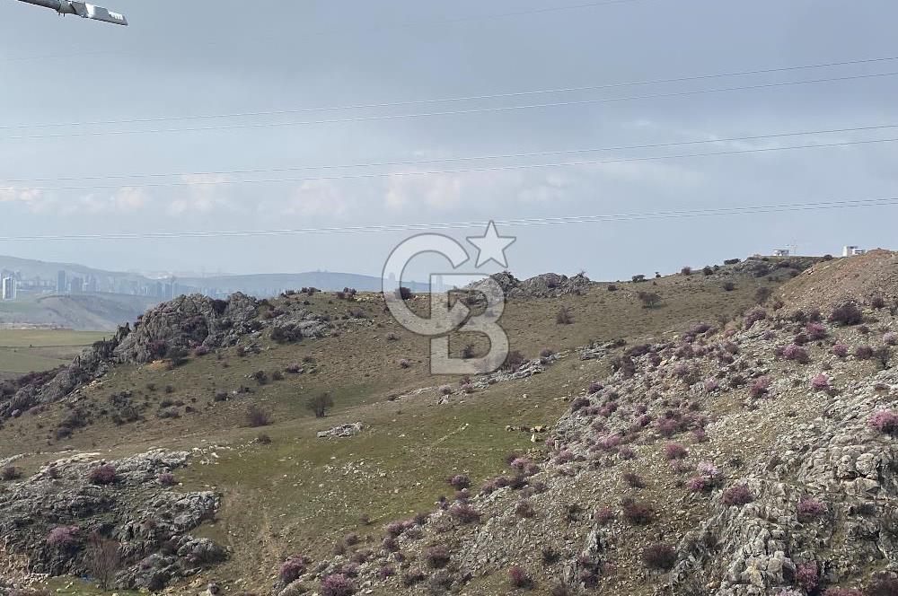 İncek'te 2+1 Satılık Vadi Manzaralı Dubleks Daire